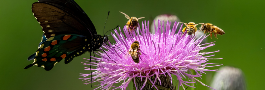 Summer 2026 Graduate Interdisciplinary Research Accelerator Fund (GIRAF) Recipients